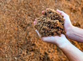 Subproductos y otras aplicaciones